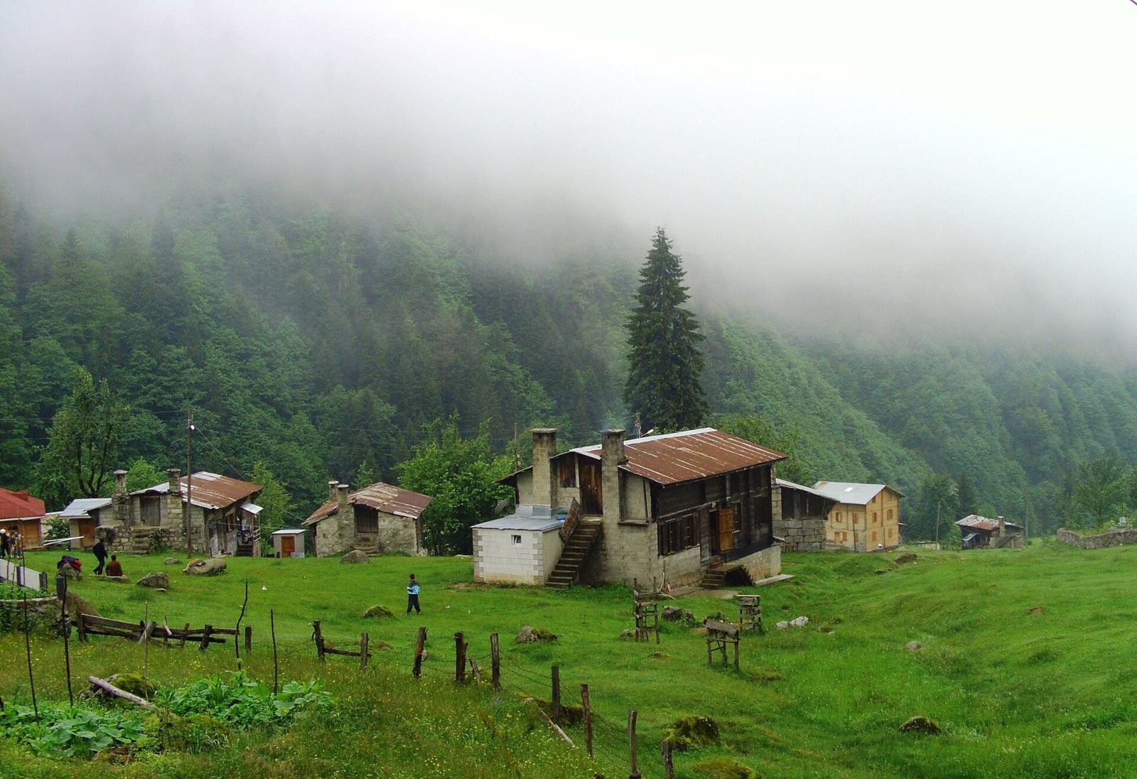 Rize