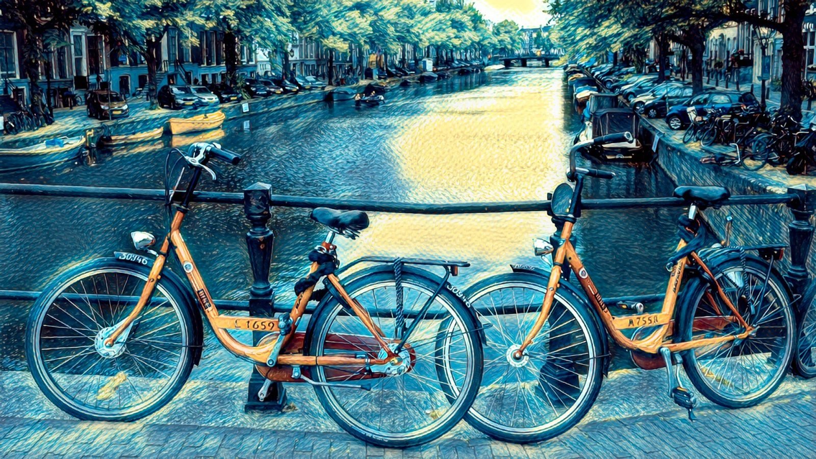 Amsterdam’da bisiklet trafiğine alışmak