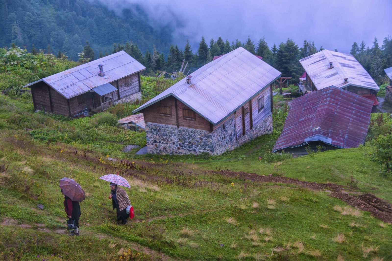 Pokut, Ayder, Zilkale: sisin içinden geçen üç gün
