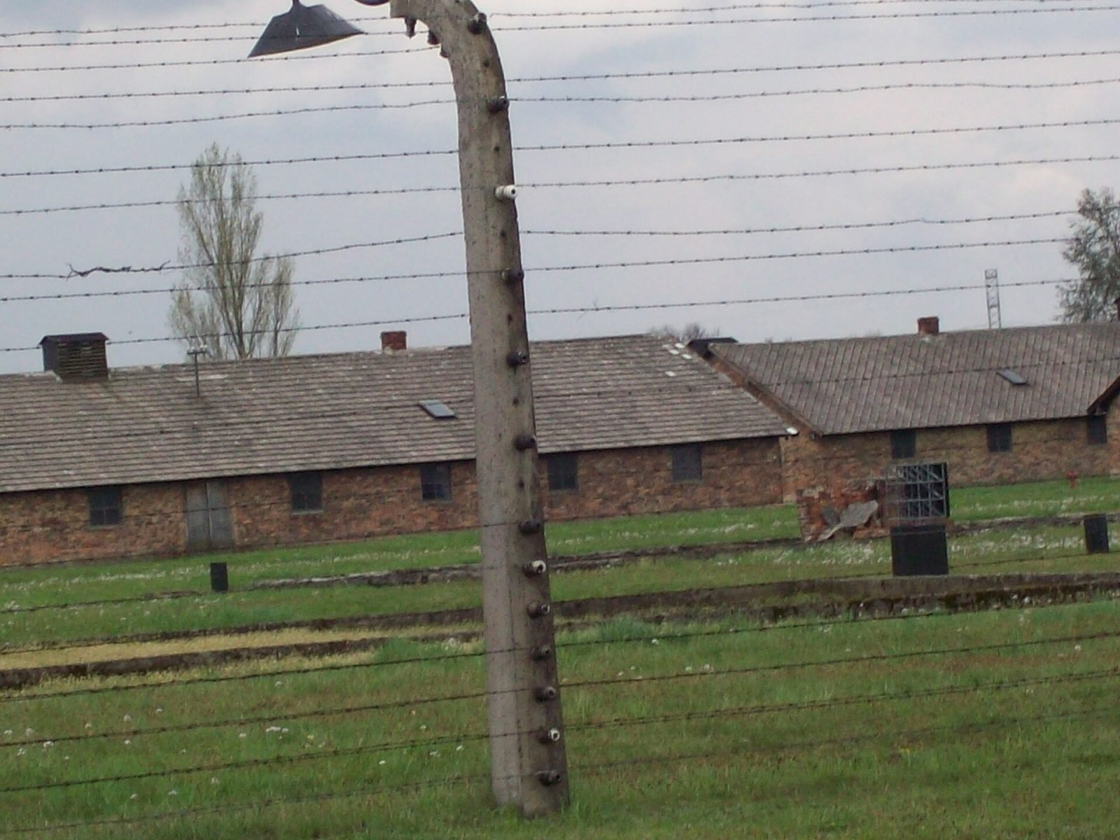 Varşova, Krakov ve zor bir gün: Auschwitz